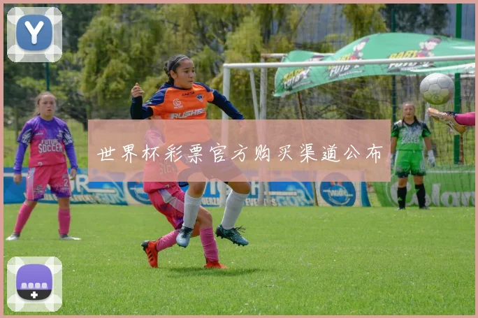 世界杯彩票官方购买渠道公布