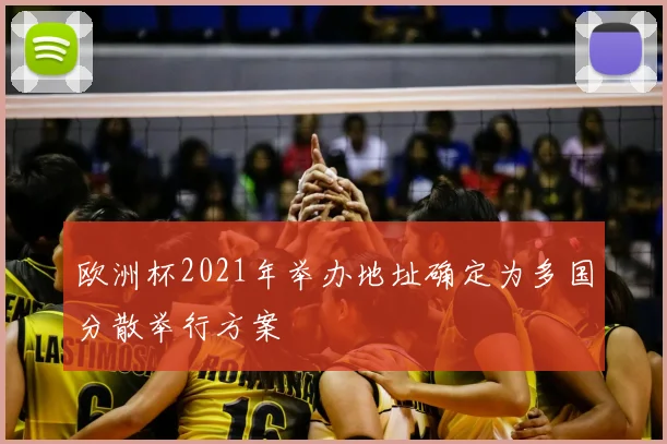 欧洲杯2021年举办地址确定为多国分散举行方案